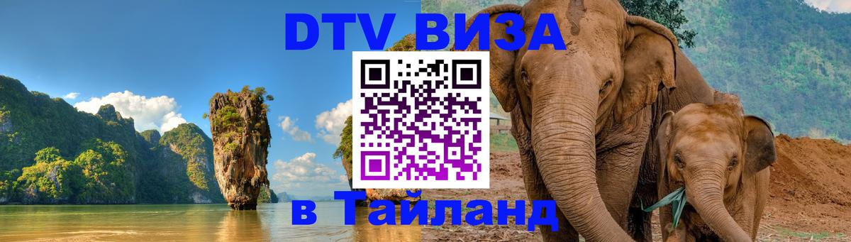 Оформление DTV визы под ключ: стоимость и тарифы, только загранпаспорт - 